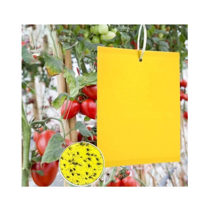 40 Pièges à Insectes Autocollants Jaunes - 20 X 15 Cm - Double Face, Non Toxique - Contre Mouches, Pucerons, Aleurodes...