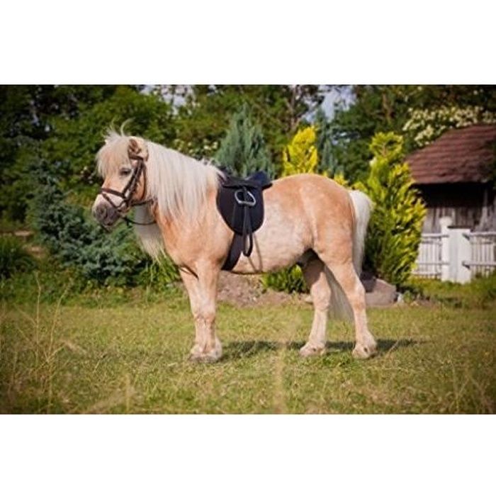 Meilleurs prix pour Kerbl Kit de selle Economy Poney 15" 325415
