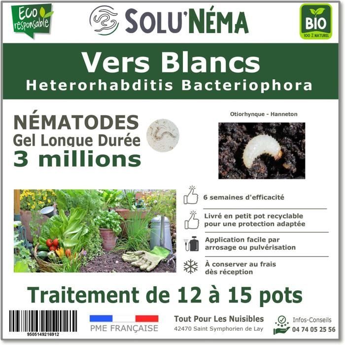 SOLUNEMA - Nématodes HB - Vers Blancs - 3 millions pour 12 à 15 pots soit environ 3m²