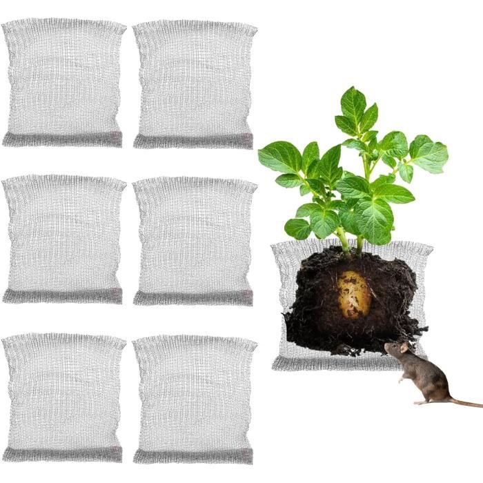 6 Paniers De Protection Pour Racines En Acier Inoxydable – 25 X 23 Cm, Anti-rongeurs