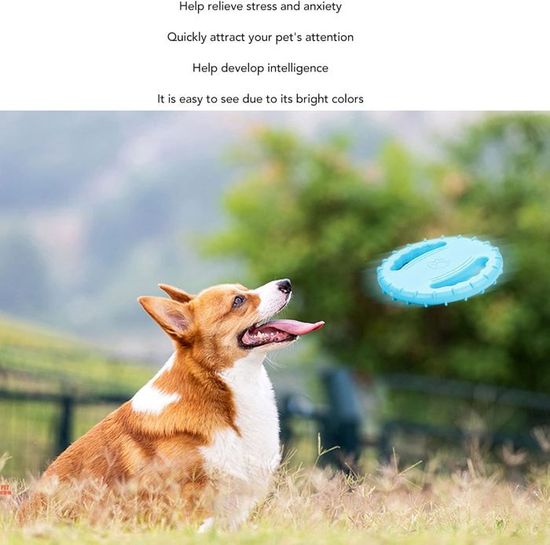 Zeus K9 Fitness jouet pour chien - disque volant en nylon robuste et souple 26,7 cm main image 1