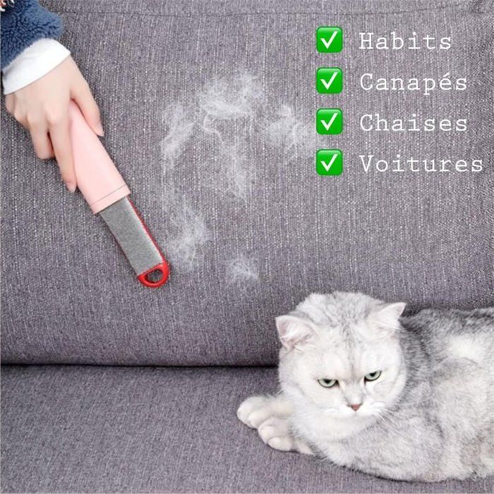 2-1 brosse épilatoire réutilisable pour animaux de compagnie, rouleau