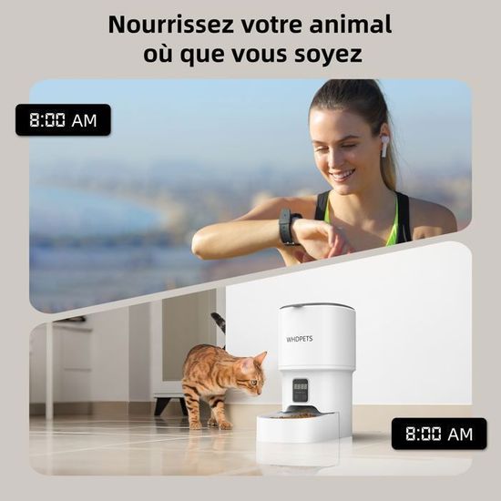Distributeur Automatique De Croquettes Chat 4L Avec Voix Programmable - 6 Repas/jour, Minuterie, USB-C