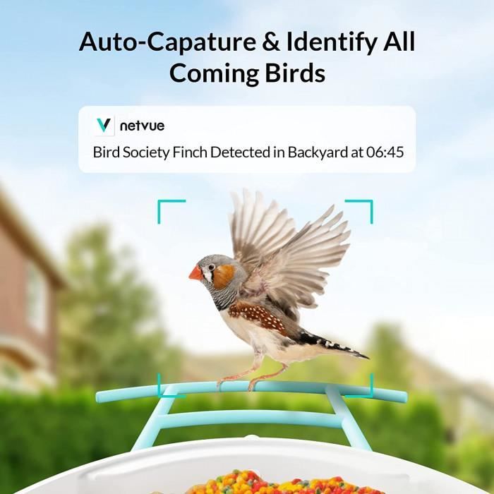 Mangeoire Oiseaux Exterieur avec caméra,mangeoire à Oiseaux Intelligente, Mangeoires pour Oiseaux Sauvages Fonctionnelle avec Base de données d' oiseaux puissante,Reconnaissance des espèces d'oiseaux : : Jardin