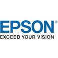 EPSON T02Y - Cyan - Originale - Cartouche d'encre - Pour WorkForce Enterprise WF-C21000 D4TW-0