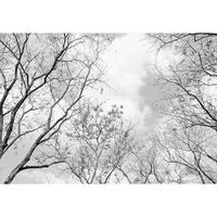 Papier Peint Intissé Couronnes d'arbres Forêt 254x184cm noir et blanc plafond Panoramique Salon Photo Non Tissé Muraux Moderne
