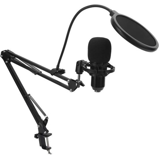 Microphone,Microphone USB E20 PC, micro avec bras Ring Light de 6 pouces,  Kit de Studio professionnel Ring Light pour - A-4 - Cdiscount TV Son Photo