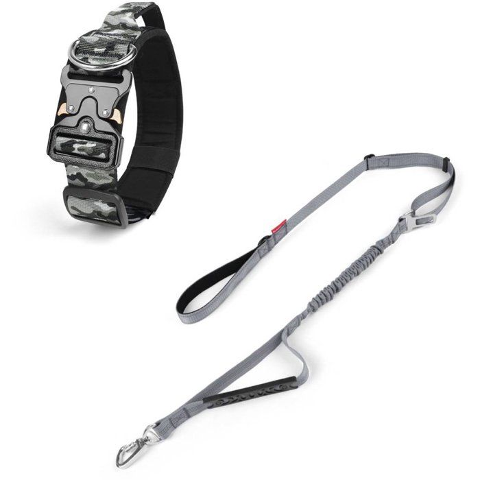 Collier laisse métal robuste réglable boucle sécurisée amovible chaîne durable fermoirs universels anneau pivotant domination bondage sensualité élégance contrôle intensité
