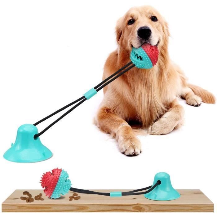 Jouet intelligent pour chien avec ventouse - Jouet intelligent pour petits chiens - Jouet à mâcher semi-au CORDE DE JEU POUR ANIMAL