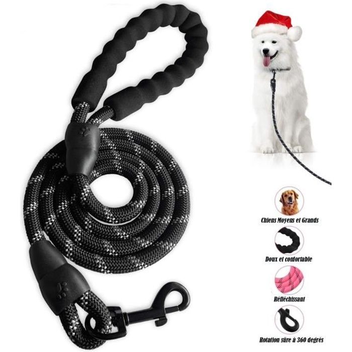 Laisse de chien solide avec poignée rembourrée Laisse élastique de corde  anti-traction pour chiens de moyenne et grande taille en traction lourde  (110CM-150CM, orange)