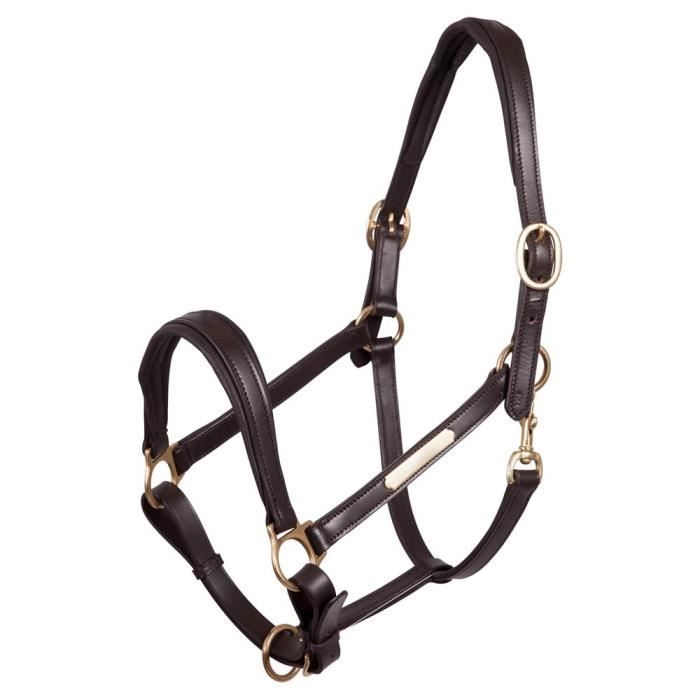 Licol d'écurie de cheval avec muserolle renforcée cloutée barbelé