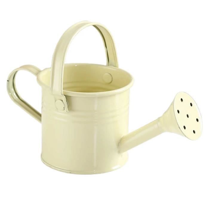 Arrosoir en Métal à Long Bec pour Petites Plantes - TRAHOO - 1000 ml - Anti-goutte et Robuste