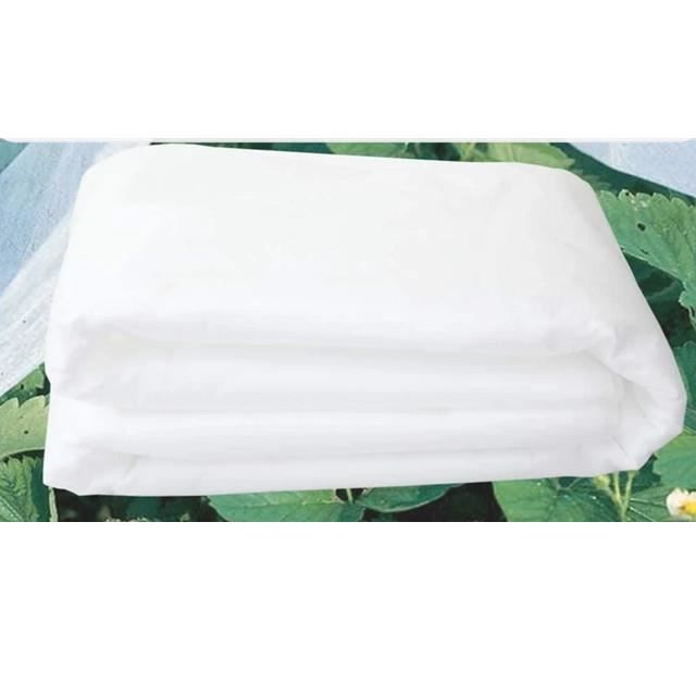 Housse De Protection Anti-gel Pour Plantes - Tissu Non Tissé Blanc, 2 M X 6 M, Respirant, Contre Le Froid Et Les Parasites