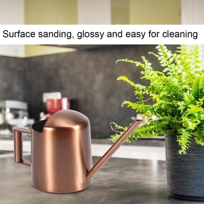 Arrosoir En Acier Inoxydable 300 Ml - Long Bec Précis - Pour Plantes D'intérieur Et Succulentes - Poignée Confort Argenté