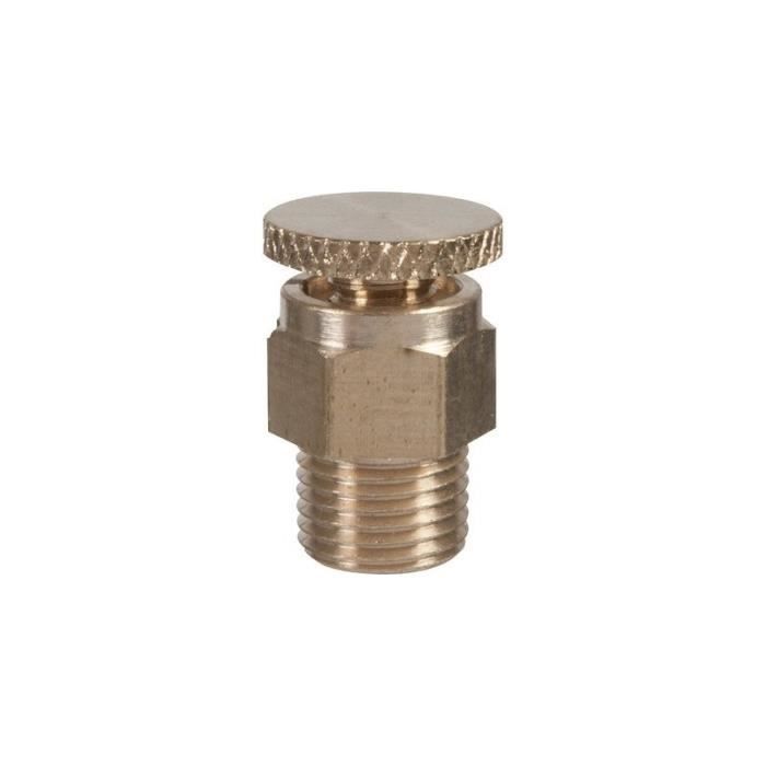 Purgeur à Volant Laiton Brut - Diamètre 8x13 - Pour Purge D'air Systèmes Hydrauliques Et Chauffage - 9