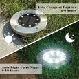 Lampe Solaire Jardin - FLOWood - 8 LED - Etanche IP65 - Blanc - Diamètre 11,5 cm - Hauteur 13,5 cm-1