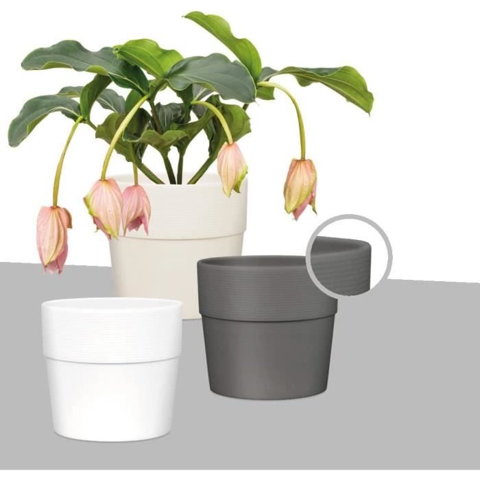 Cache-Pots Plastique Blancs - Lot De 3 - Idéal Intérieur/Extérieur - 15cm