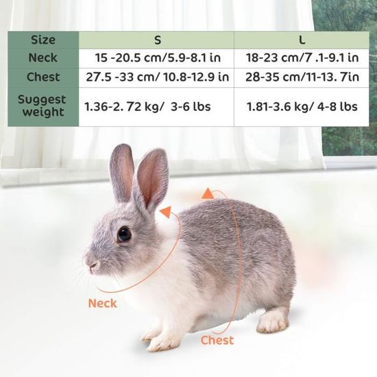 S, Rouge Petcomer Harnais pour Lapins Cochons dInde Petits Animaux avec Laisse /Élastique Gilet Souple pour Promenade