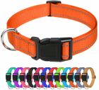 ZEMINPEOEL Colliers réfléchissants en nylon pour chien, collier classique réglable avec boucle à dégagement rapide,orange(M 2,5 cm/35-50 cm)