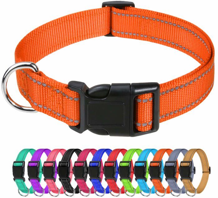 Colliers réfléchissants en nylon pour chien, collier classique réglable avec boucle à dégagement rapide,orange(M 2,5 cm/35-50 cm)