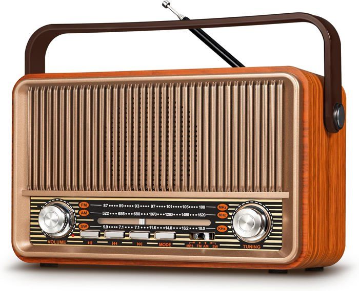 Poste Radio Portable, PRUNUS J-160 Radio Vintage Bluetooth F/A (W