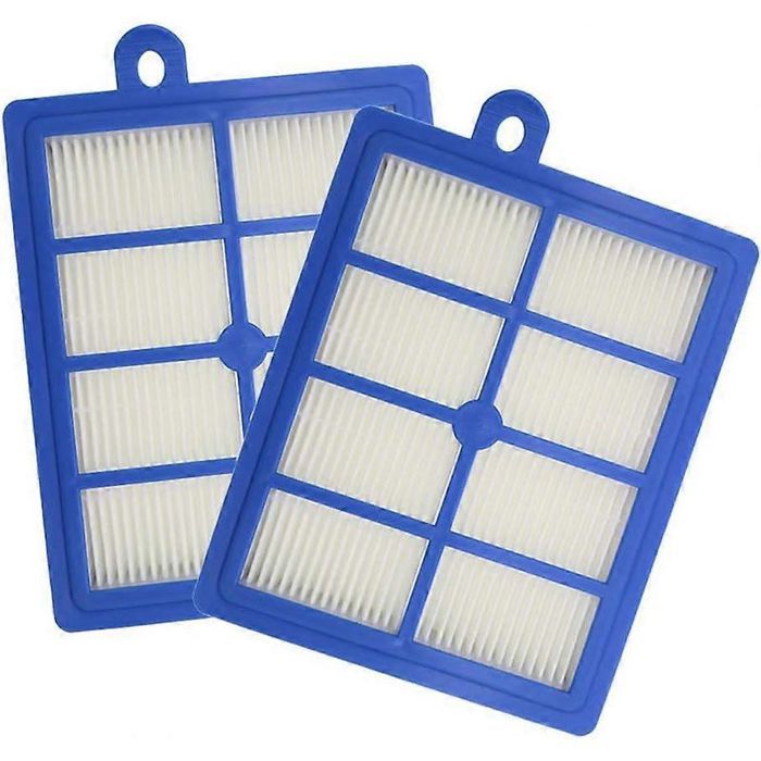 Lot de 2 filtres HEPA pour aspirateur lavable Electrolux H12