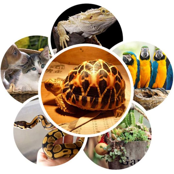 1 Lampe chauffante infrarouge 50W élément céramique grille métal pour tortues perroquets lézards .