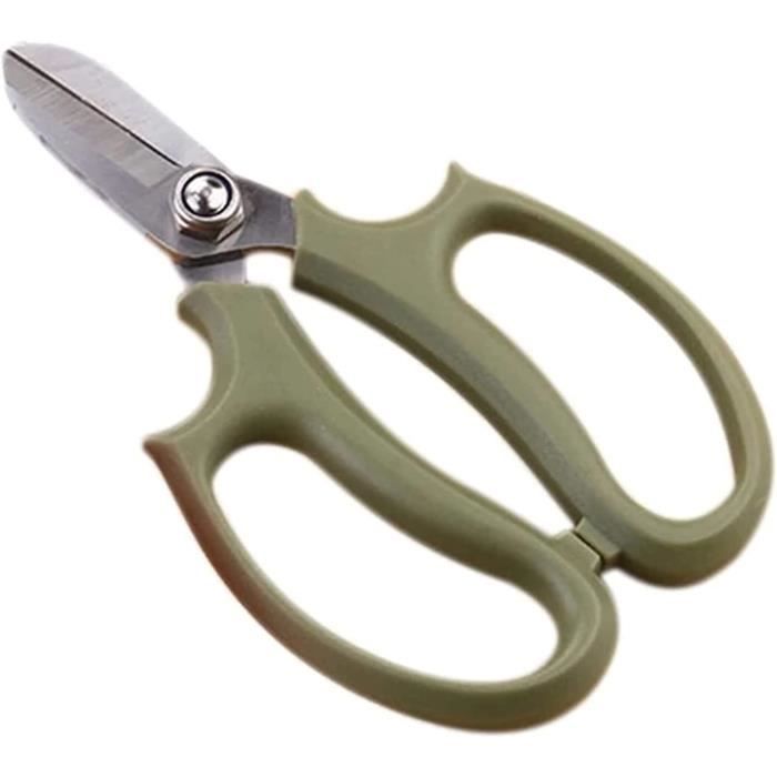 Bonsaï Clippers Flower Ciseaux Ciseaux Jardin Cisailles Jardinage