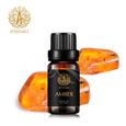 2-Pack 10ml Amber Huile essentielle, huiles d’aromathérapie pour diffuseur, massage, savon, fabrication de bougie-1