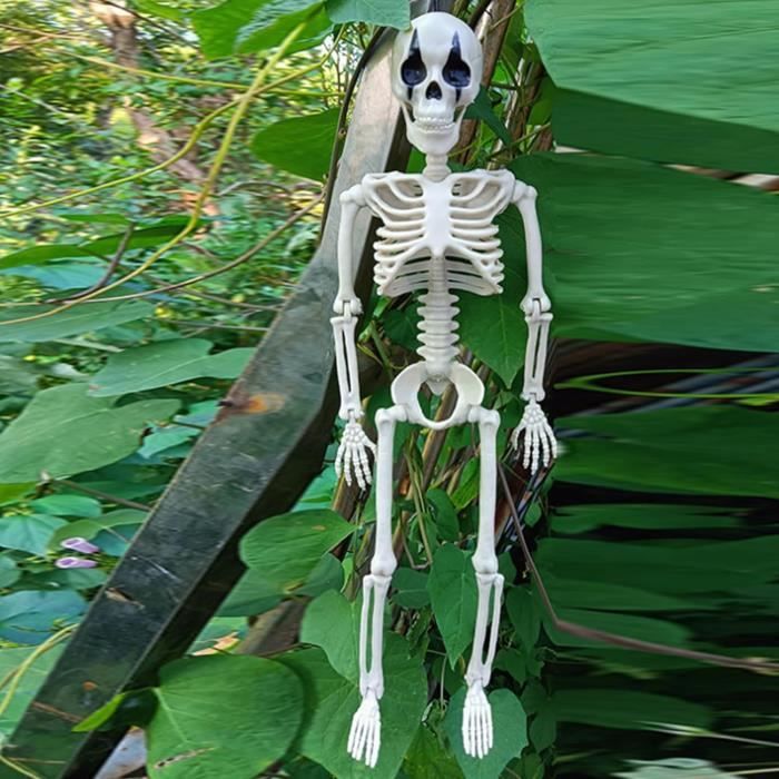 Squelette suspendu Halloween réaliste de 90 cm pour déco d'horreur Squelette suspendu Halloween réaliste de 90 cm pour déco d'horreur