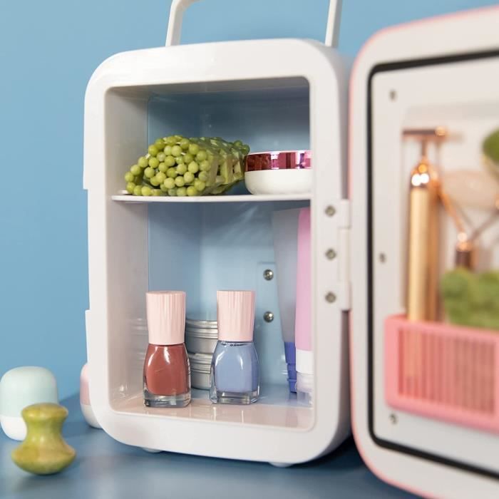 Produits de soin d'un réfrigérateur mini portable 4L Beauté Soins De La Peau  de voiture Multicolor seul mini-frigo maquillage beauté réfrigérateur mini  - Chine Produits de soin d'un réfrigérateur, un réfrigérateur avec
