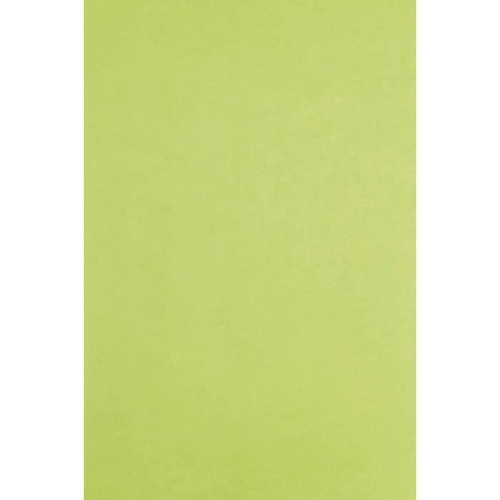 393619C - Une Rame De Papier De Soie Vert Pomme - 480 Feuilles - Format ...
