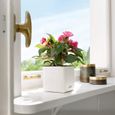 – pot de fleurs d’extérieur et d'interieur – cube color – réserve d'eau intégrée – coloris blanc – 17 x 17 x 16 cm-3