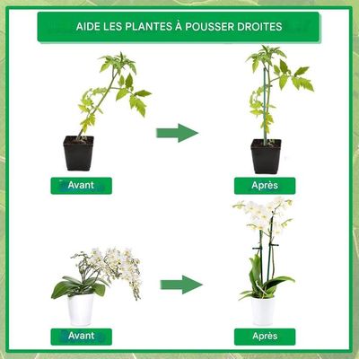 Lot De 120 Attaches Jardin Réutilisables - Longueurs 17 Cm Et 23 Cm - Plastique Souple Vert - Pour Plantes, Arbres, Tuteurage