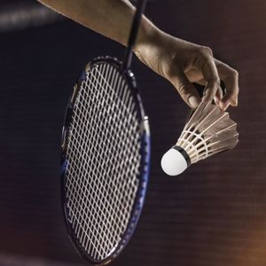 VOLANT DE BADMINTON ESTINK Balle de badminton Balles de Badminton en plumes d'oie à grande vitesse, 12 pièces, volants d'entraînement sport badminton