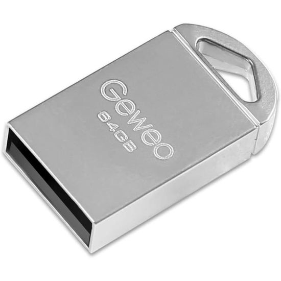 Clé USB 64 Go HAODIUSB88 - Mini Format Avec Porte-clés, Compatible USB 2.0 - Pour PC, Ordinateur Portable, Voiture (Gris)