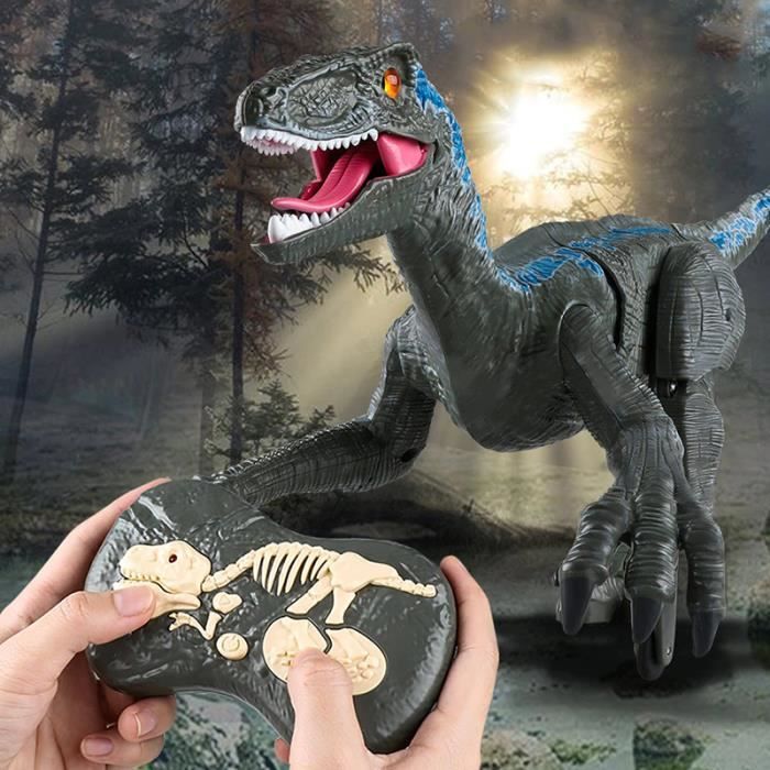 SHOP-STORY - VELOCIRAPTOR GREY : Dinosaure Télécommandé avec Lumières et Sons
