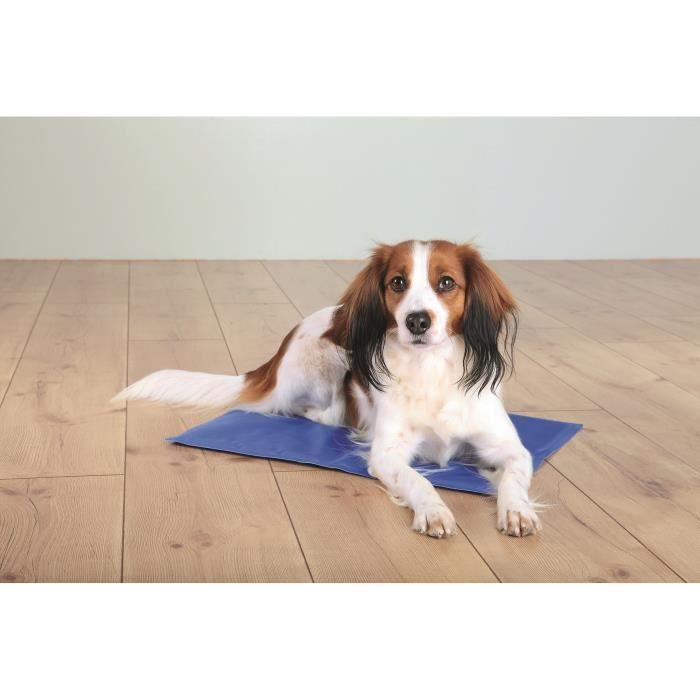 TRIXIE Matelas rafraîchissant - 65 × 50 cm - Bleu - Pour chien