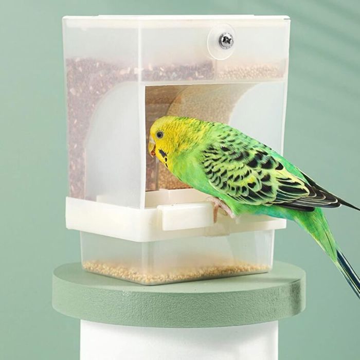 Mangeoire Oiseaux Automatique Mangeoire pour Animaux Compagnie Accessoire Cage Mangeoire Automatique Perroquet Transparent Grande