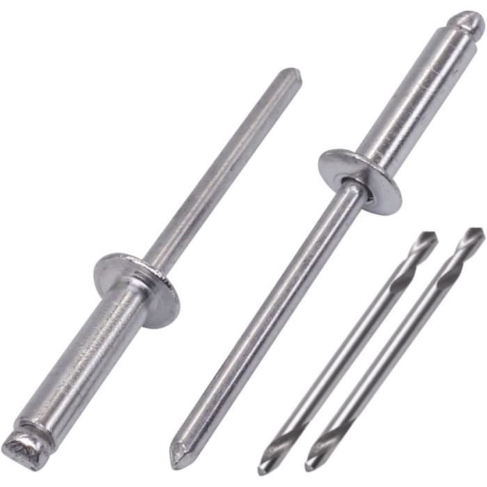 Kit De 200 Rivets Aveugles En Aluminium WORKPRO - 1/4x1/2 Pouce - Mandrin Acier
