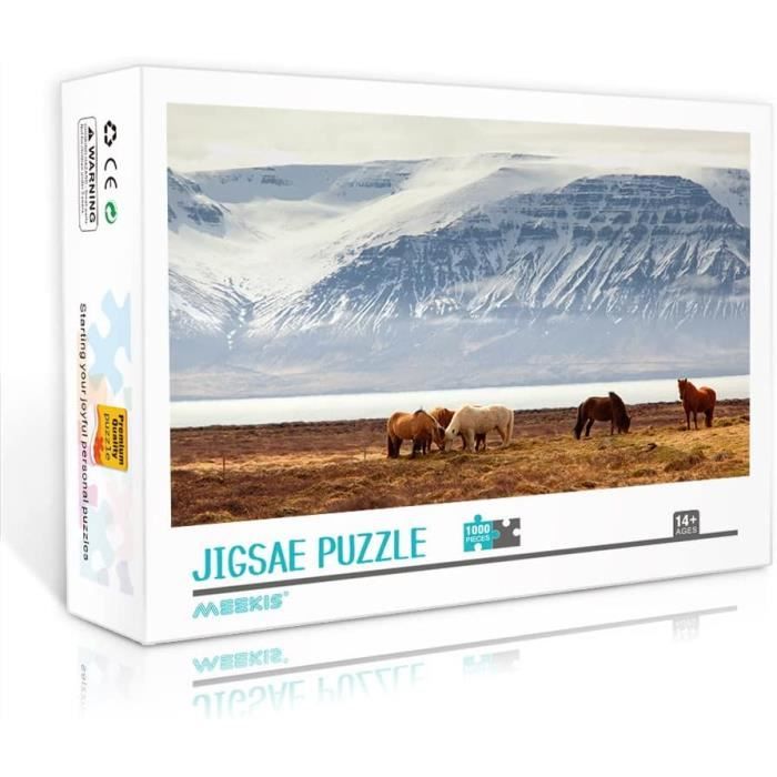 Puzzle 1000 Pièces En Bois 75x50cm - Art Classique 'Le Canal Des Étagères' - Pour Adultes Et Enfants à Partir De 12 Ans