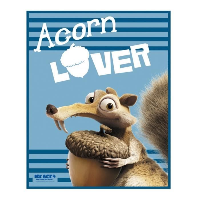 Plaid Polaire Scrat Couverture Enfant L Age De Glace Cdiscount Puericulture Eveil Bebe