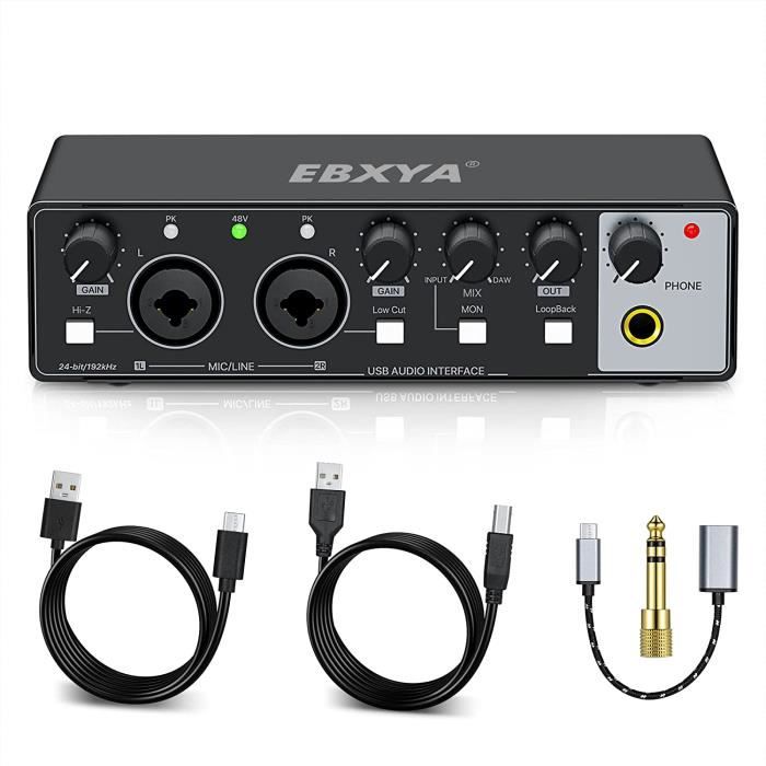 Audio Interface USB Noir, EBXYA Carte Son Externe Table de Mixage pour PC,  Micro, Interfaces Audio pour Home Studio avec Préampl86 - Cdiscount  Informatique