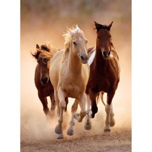 PUZZLE PUZZLE 1000 pièces - Chevaux sauvages PUZZLE PUZZLE 1000 pièces - Chevaux sauvages