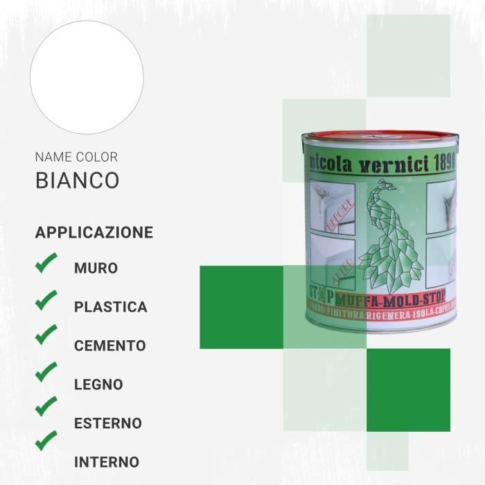 Nicola Vernici Moisissure Mold Stop Anti-moisissure Blanc Écologique  Inodore Fabriqué Italie À Base D'eau Taille 1 - Cdiscount Bricolage