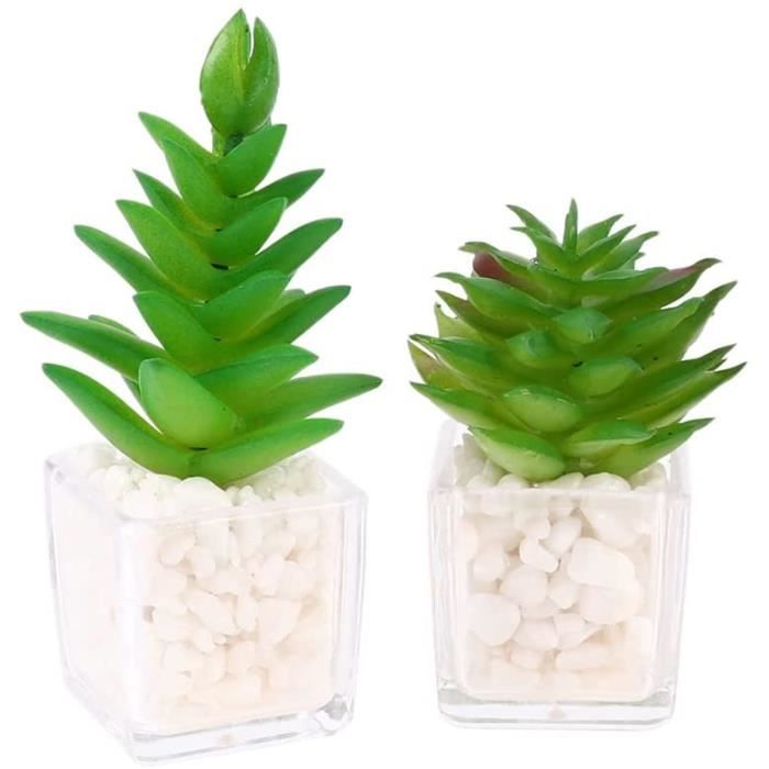 AIMANT Lot de 2 Frigo Cactus 3D Frigo plantes succulentes Autocollant  Réfrigérateur Decoratifs pour Armoires de Bureau, Tableaux B - Cdiscount  Beaux-Arts et Loisirs créatifs