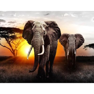 Tablau Décoration Mural Afriqu L'Éléphant 100 x 40 CM