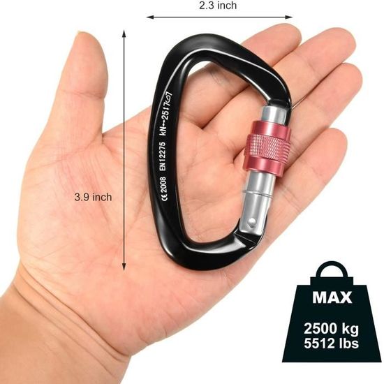 Mousqueton Escalade 25kN Paliston - Forme D - Verrouillage - Aluminium 7075 - Certifié CE - Pour Via Ferrata, Hamac