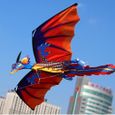 Cerf-volant, cerf-volant en plein air, 3D Dragon Kite Outdoor Cerfs-volants Enfants Sport Jouet-R-0