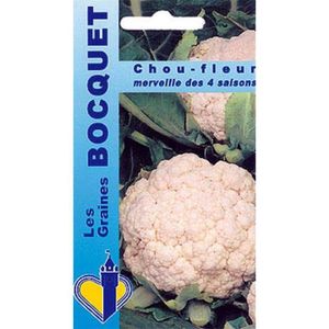 35 graines Légumes-Chou-fleur-neige mars